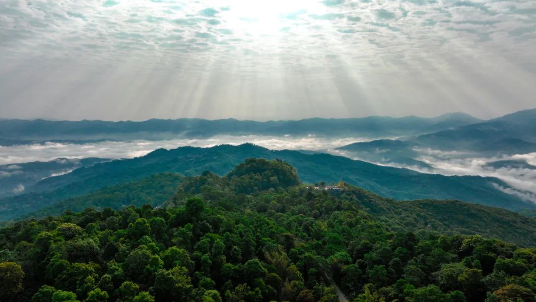 AG���˹���(�й�)�ٷ���վ