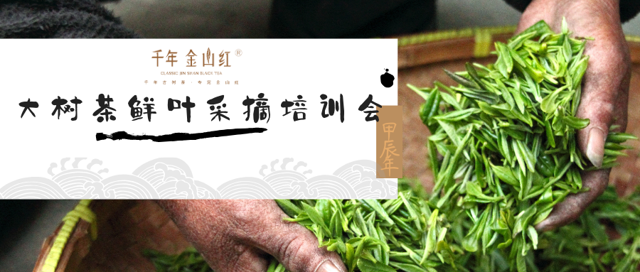 AG���˹���(�й�)�ٷ���վ